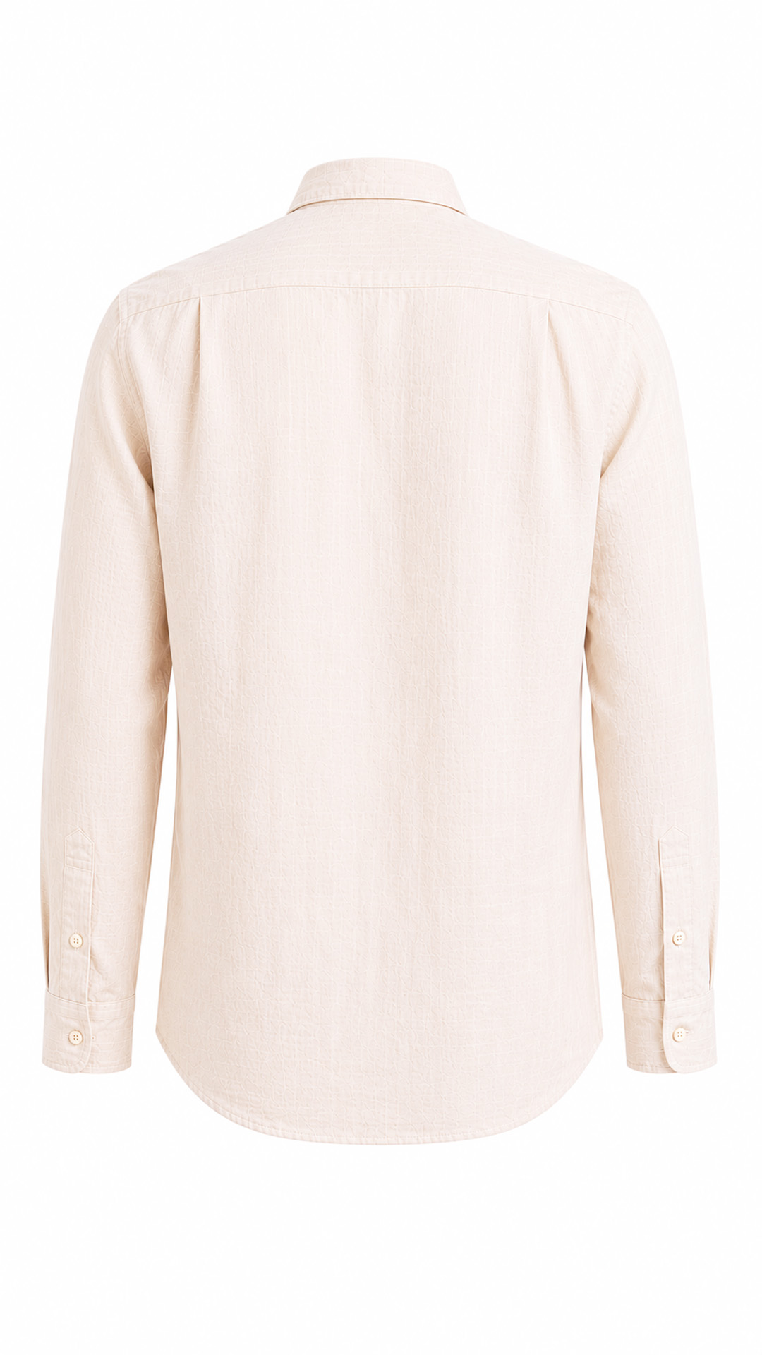 100% Linen Regular Fit Shirt view 5
